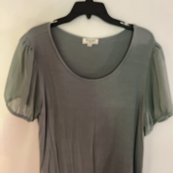 Kim & Cami Sheer Puff Sleeve Top