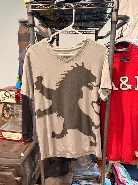 Express Lion Logo V-Neck T-Shirt Size M Gray