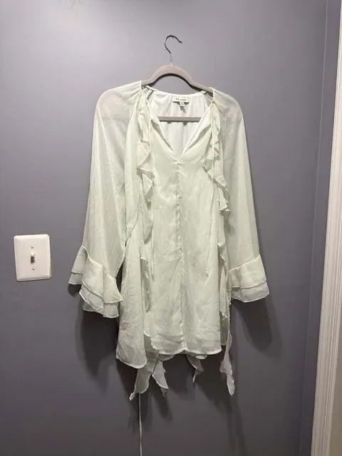 Francesca's Mint Green Ruffled Long Sleeve Mini Dress