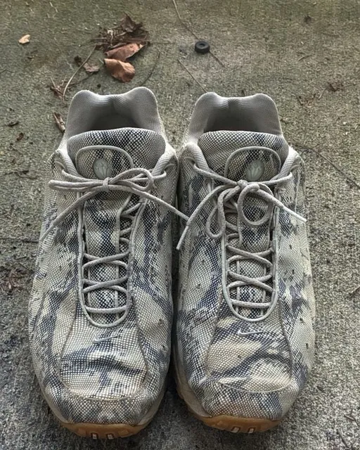 Corteiz Nike Air Max 95 Snakeskin