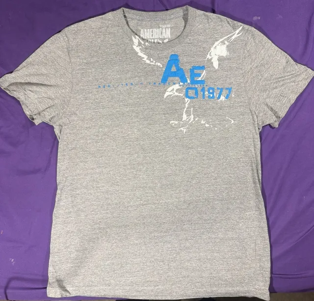 American Eagle Outfitters T-Shirt Size M Gray Graphic 1977 Tee