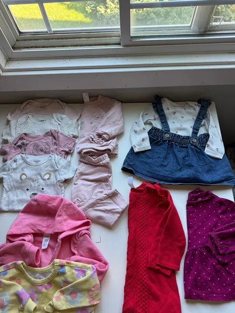 Carter's Baby Girl Clothing Lot Size 12M