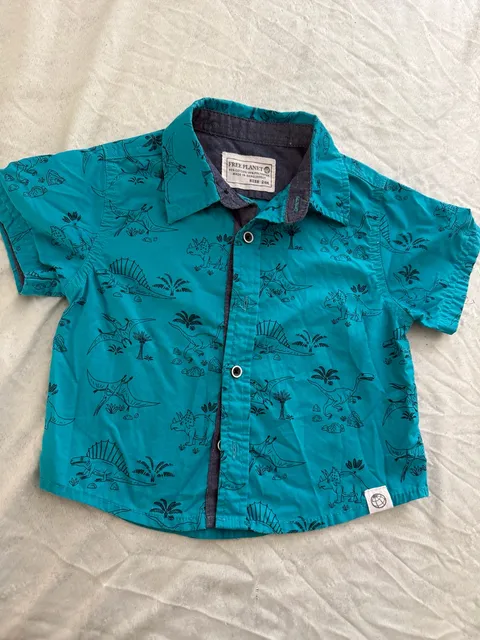 Free Planet Dinosaur Button-Down Shirt Size 24M Teal