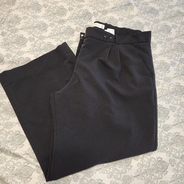 Abercrombie & Fitch Pants Size 33 16R