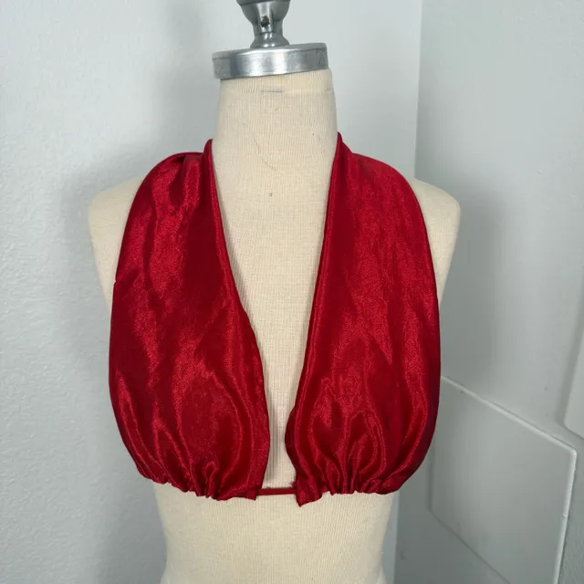 Red Satin Halter Crop Infinity Top