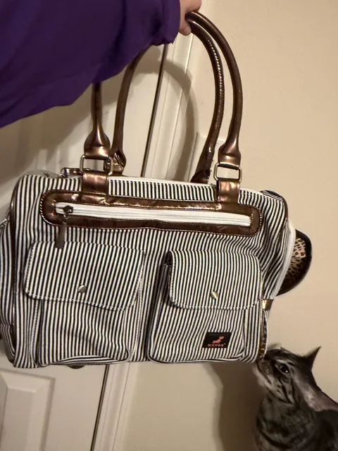 Kenox Striped Pet Carrier Handbag Leopard Print Lining