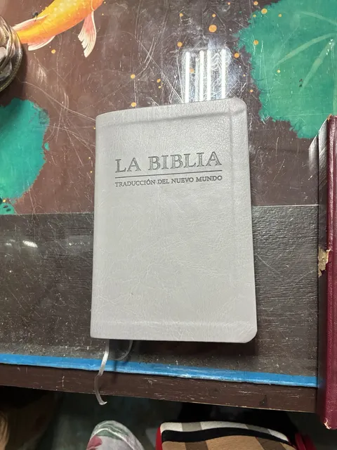 La Biblia Traduccion Del Nuevo Mundo 2019 Gray Leather Bound Watch ...
