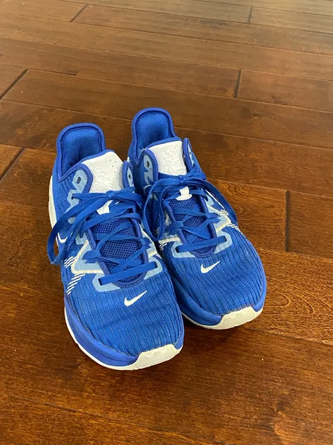 Nike LeBron Witness 7 Blue White Basketball Shoes