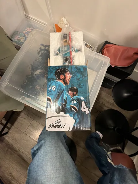 San Jose Sharks Tomas Hertl #48 Bobblehead Figure New in Box