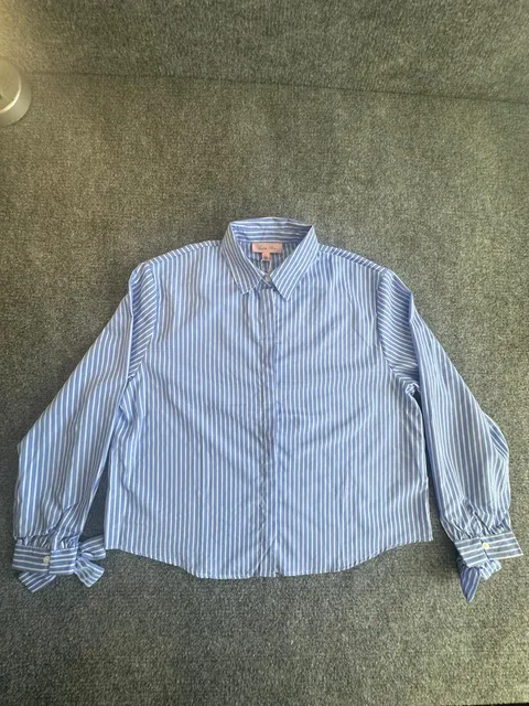 Colette Rose New Striped Button-Down Shirt Size L Blue