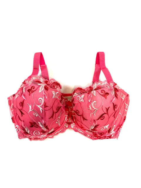 Soma Women's Bra Balconet 38G Coquette Balletcore Cottage-Glam Romantic Fairycore Embroidered Lace Underwire Coral Pink Rose Burgundy Floral Vine Balconette Hook Eye