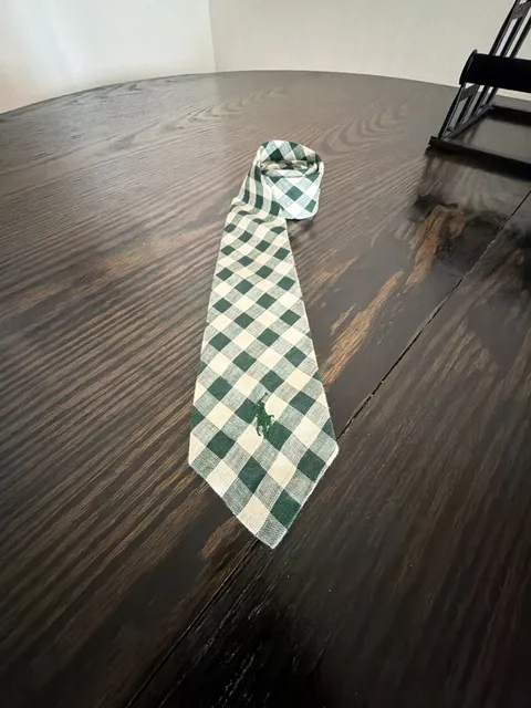 Polo by Ralph Lauren Green Gingham Plaid Tie