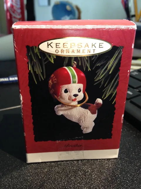 Hallmark Keepsake Christmas Ornament Brother Puppy Football Box Vintage 1993