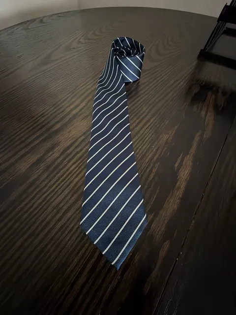NWOT Indochino Blue and White Striped Silk Necktie