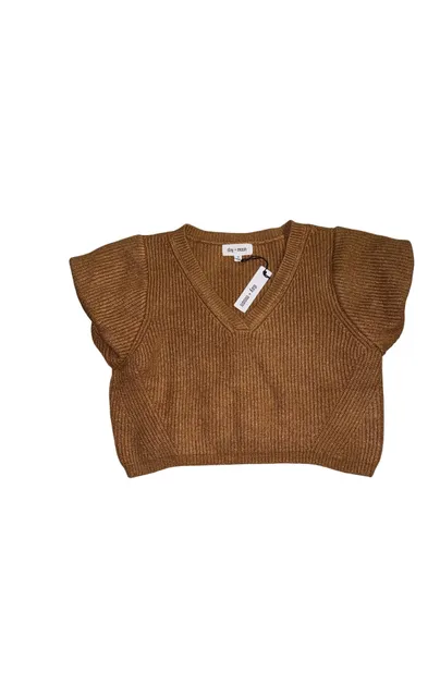 Day + Moon Sweater Vest Size M Brown Ribbed V-Neck
