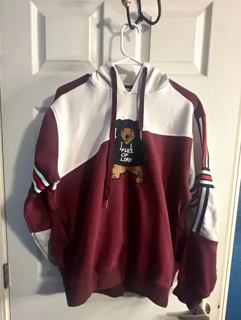 Bear The Beams Full of Life Teddy Bear Hoodie Men’s L Colorblock Streetwear