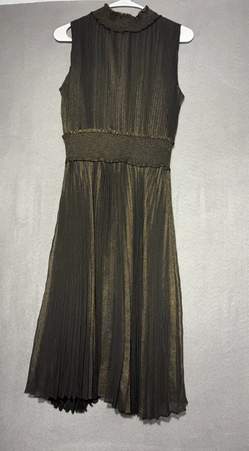 Black and Gold Metallic Pleated Dress