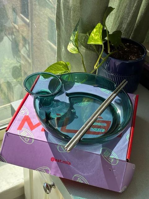 Mila Dipping Bowl Green Acrylic Divided Bowl with Box