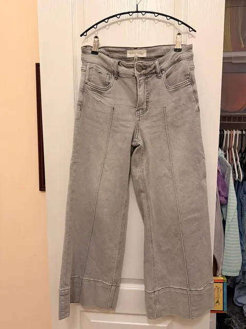 Risen Jeans Wide Leg Pintuck Jeans Size 3/26 Grey Denim