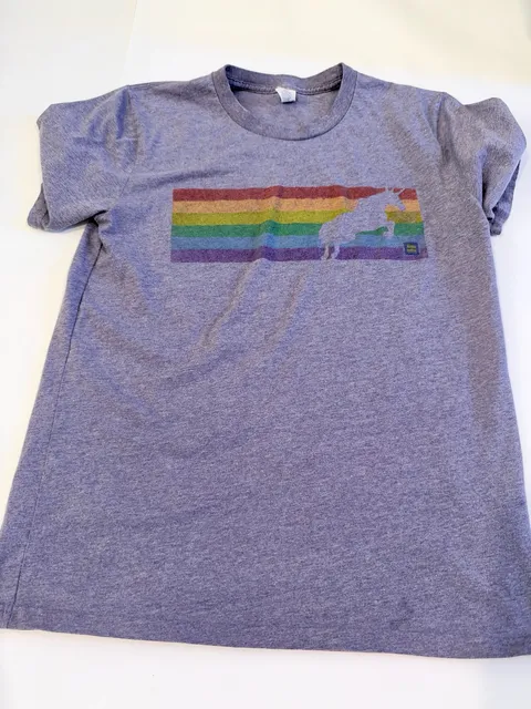 Human Rights Campaign Rainbow Unicorn T-Shirt