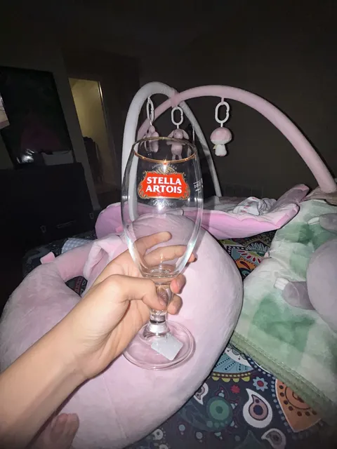 Stella Artois Chalice Beer Glass