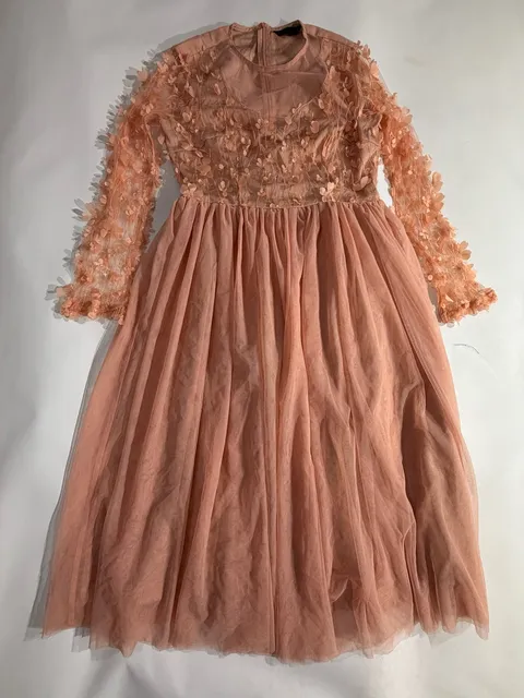Blush Pink 3D Floral Applique Mesh Tulle Long Sleeve Midi Dress