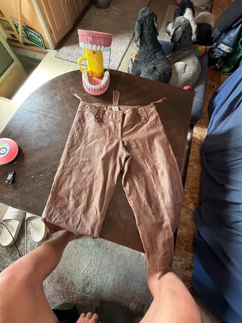 Cache Leather Pants Size 12 Brown Lambskin