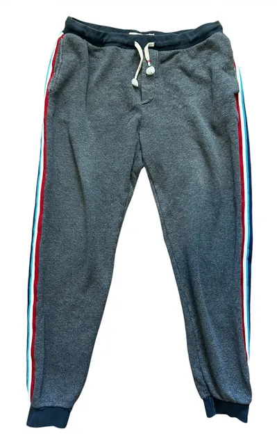 Sol Angeles Striped Sweatpants Size XL Gray/Blue