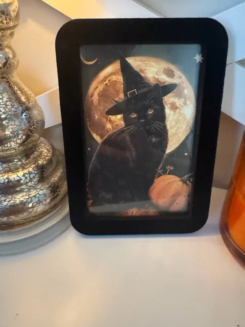 Halloween Witch Black Cat Velvet Framed Art