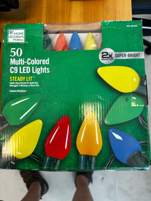 Home Accents Holiday 50 Multi-Colored C9 LED Lights Steady Lit