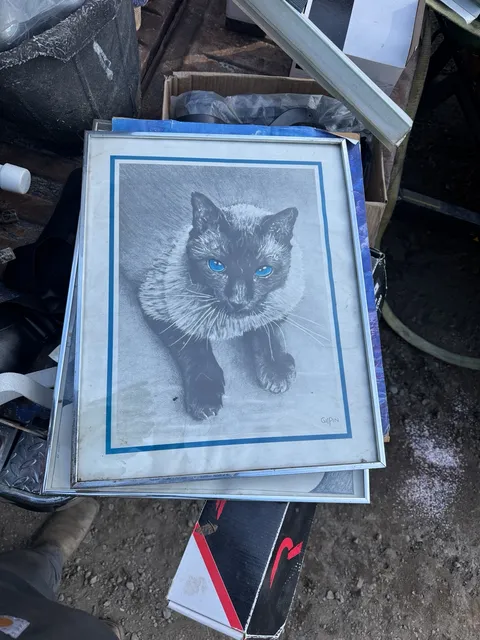 Vintage Gilpin Siamese Cat Framed Art Print Blue Eyes