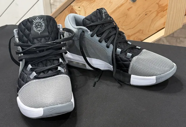 Nike Lebron Witness VIII Size 12 Cool Grey White Black FB2239-004