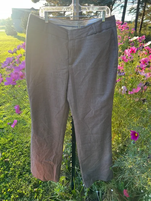 Banana Republic Jackson Fit Pants Size 16 Brown Stretch