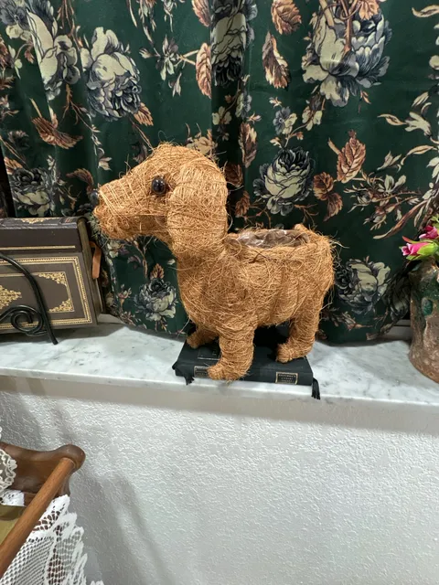 Uncommon Goods Coconut Fiber Dog Planter Sausage Dog