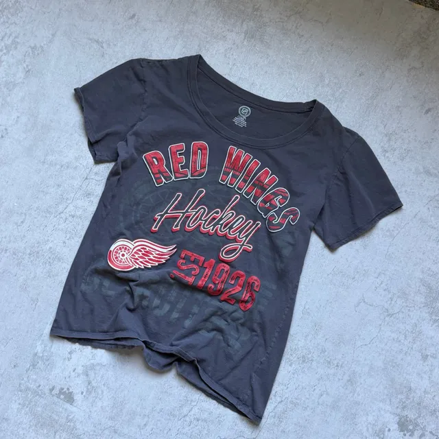 NHL Detroit Red Wings Hockey T-Shirt Size L Dark Gray Graphic Tee
