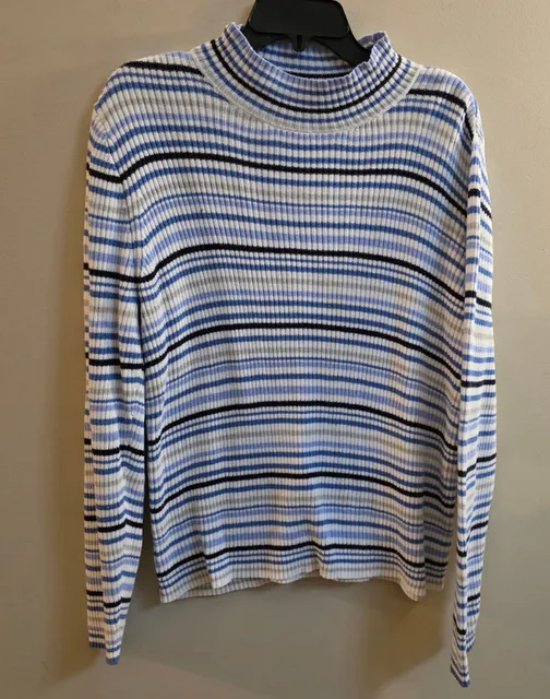 Studio Works Striped Ribbed Turtleneck Sweater Blue White