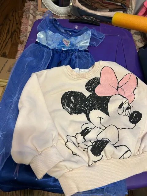 Zara Minnie Mouse Sweatshirt Size 18-24 Months & Elsa Princess Nightgown 2T