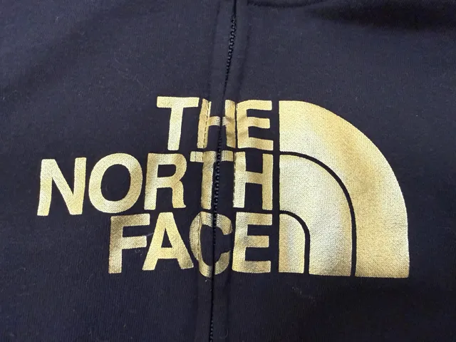 The North Face Women's Black Metallic Half Dome Hoodie Small S SM C40