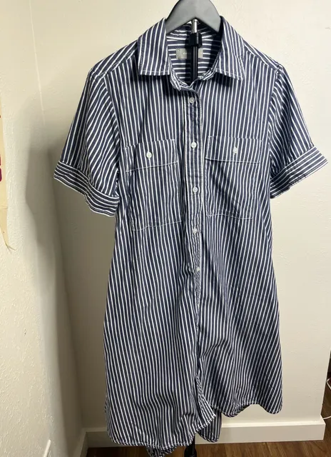 Everlane Blue White Striped Cotton Shirt Dress Short Sleeve Utility Pocket Mini