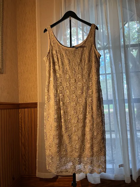 R&M Richards Sequin Lace Dress Size 16 Gold