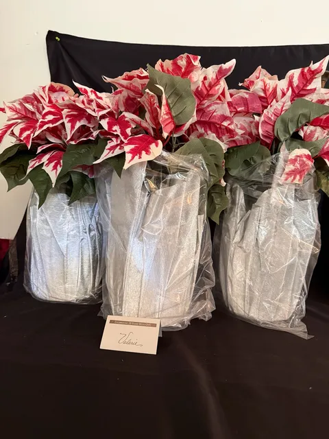 Valerie Pariser Poinsettia Plants Set of 3 Silver Foil Pots New