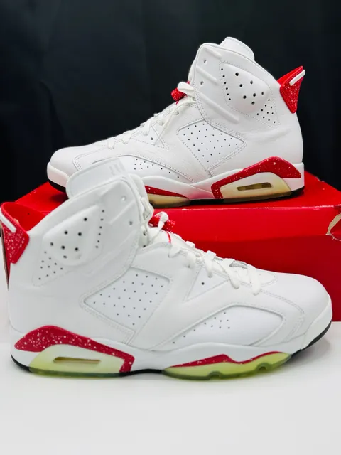 Air Jordan 6 Retro Red Oreo CT8529-162 Size 11 Used 1X with original box