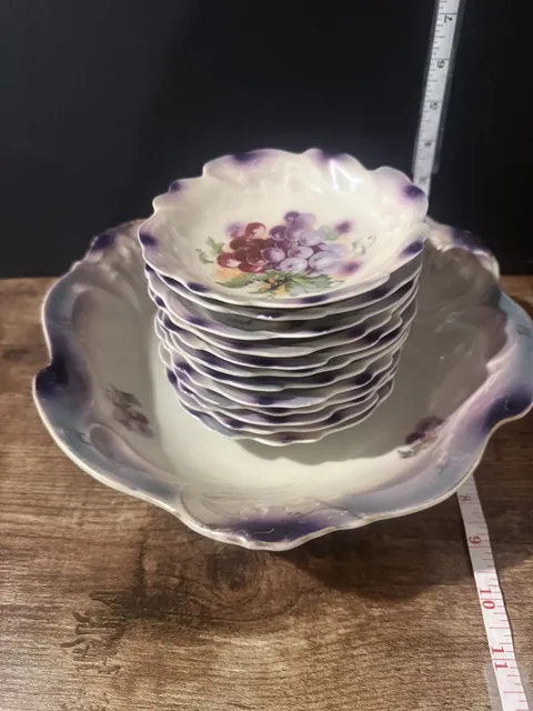 Rare Czechoslovakia Berry Bowl Set with 12 Matching Berry Bowls Antique