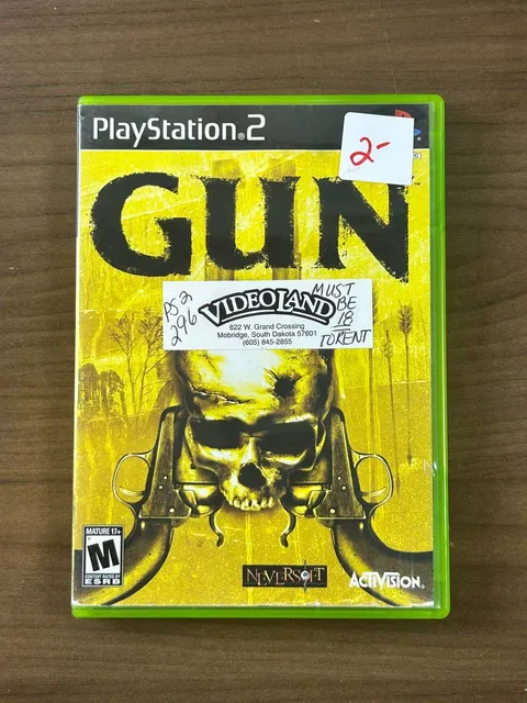 GUN Sony PlayStation 2 PS2 2005 Activision NTSC-U/C Disc & Case No Manual