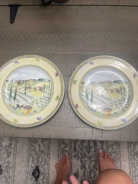 PTS International Tuscan Country Dinner Plate Vineyard Scene