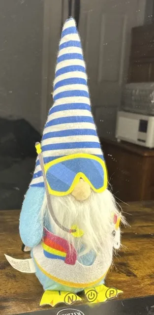 Dollar Tree Summer Gnome Snorkeling Unicorn Floatie Striped Hat Blue