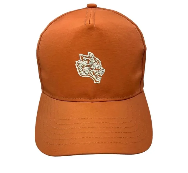 🔥 RARE 2024 DARC SPORT "TALE OF TWO WOLVES" 5-PANEL CAP 🔥