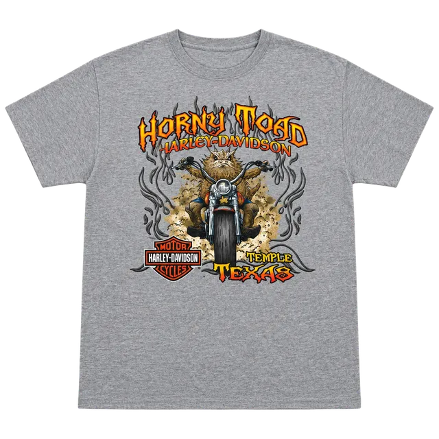 Large Harley-Davidson Horny Toad Temple Texas Graphic T-Shirt Gray