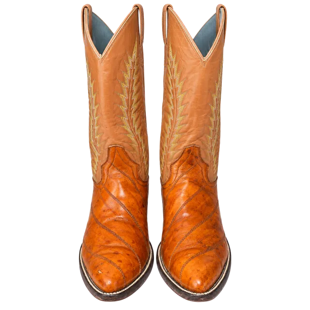 No.100 Vintage Exotic Eelskin Leather Western Cowboy Boots Brown
