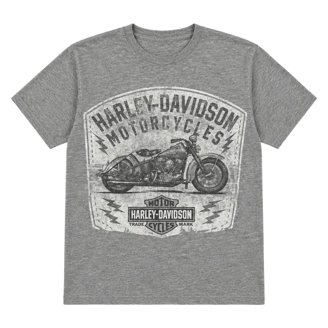 Harley-Davidson Down Home Burlington NC T-Shirt Gray